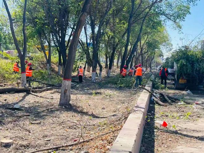 精心修整312国道绿化带 提升城市形象AG真人游戏第一品牌园林绿化养护中心