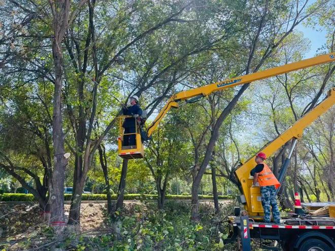 精心修整312国道绿化带 提升城市形象AG真人游戏第一品牌园林绿化养护中心(图2)