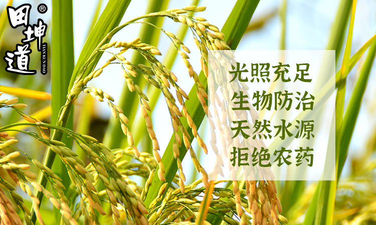 种植诠释绿色餐桌新理念AG真人田坤道：天然(图2)