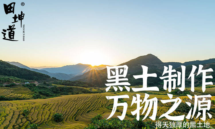 种植诠释绿色餐桌新理念AG真人田坤道：天然