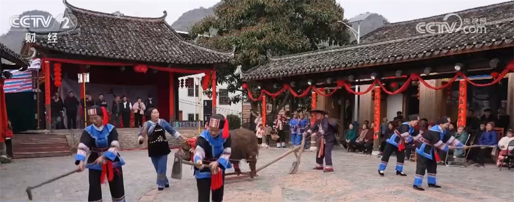 春……雨水时节 迎接春天的“仪式感”拉满AG真人国际游戏地米菜尝鲜、“耍春牛”闹(图1)