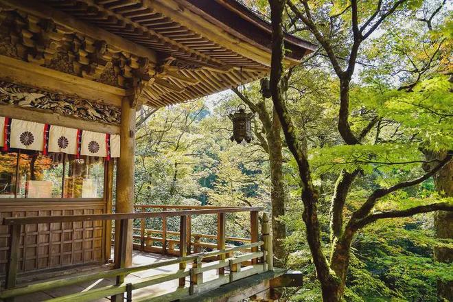 5网站最新发布）青云上内幕大揭秘AG真人建发联发青云上（202(图3)