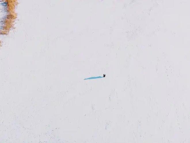 5网站最新发布）青云上内幕大揭秘AG真人建发联发青云上（202(图4)